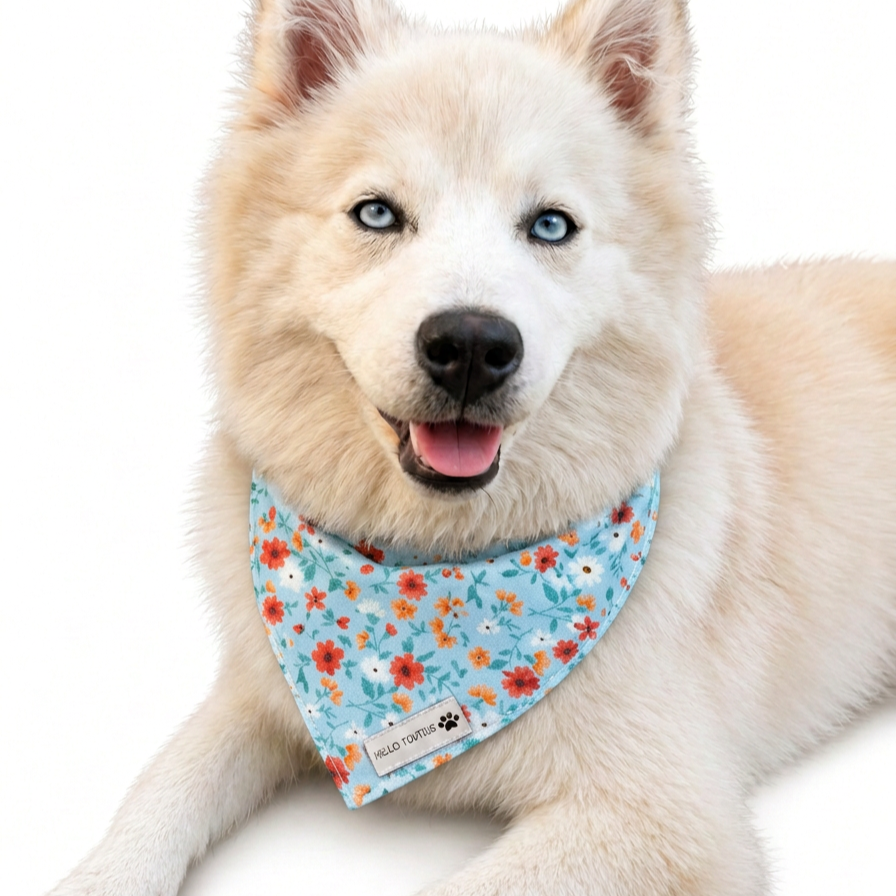 Chien portant un accessoire fleuri